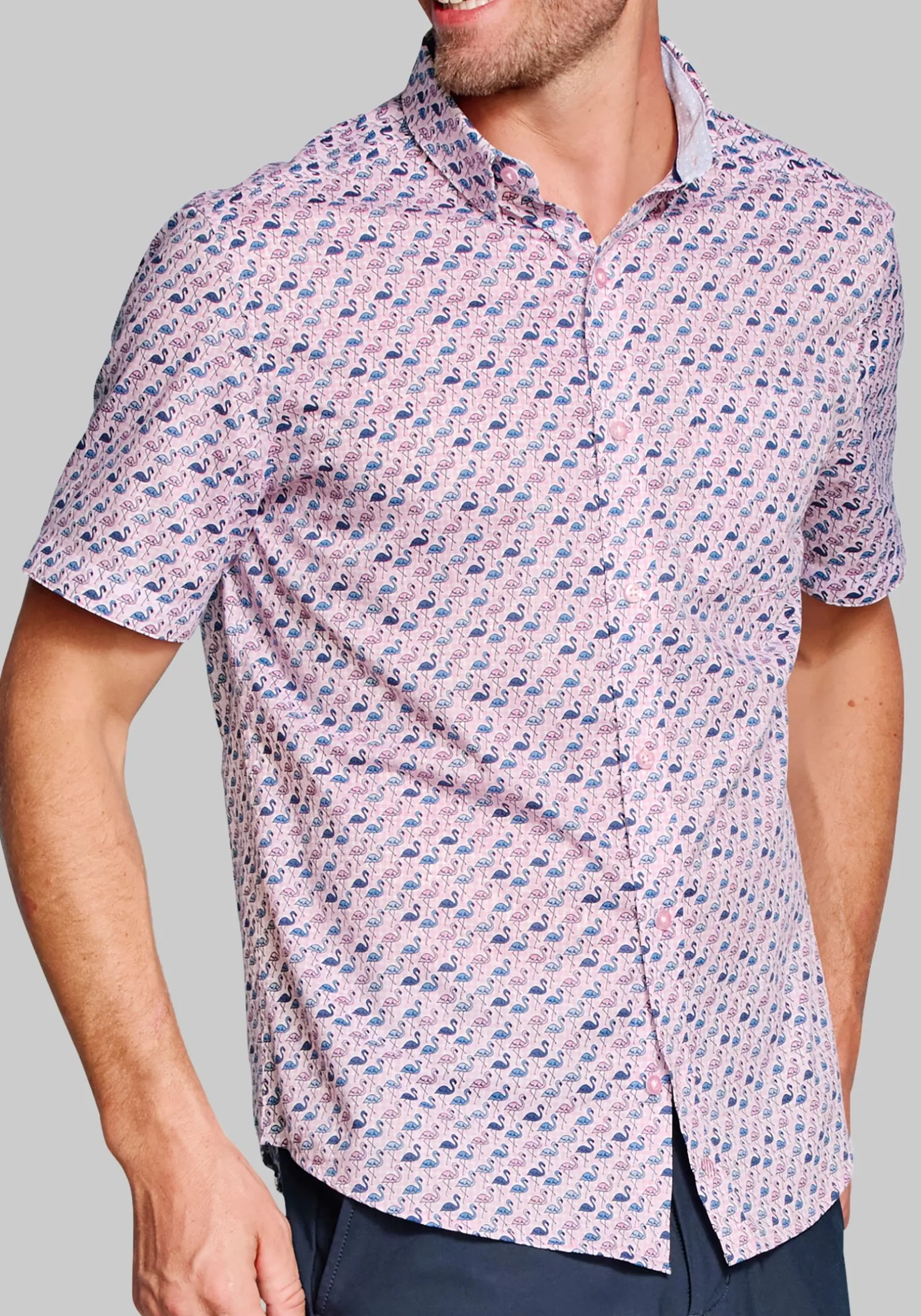Johnston & Murphy Tailored Fit Logan Flamingo Short Sleeve Shirt