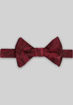 Jos. A. Bank Paisley Pre-Tied Bow Tie