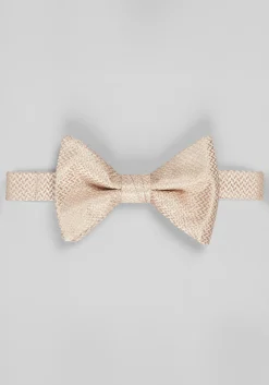 Jos. A. Bank Satiny Natte Solid Big Bow Tie
