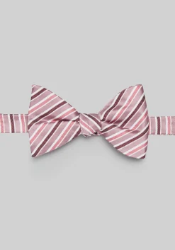 Jos. A. Bank Stripe Pre-Tied Big Bow Tie