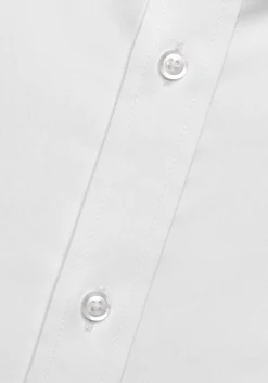Traveler® Collection Traditional Fit Dress Shirt