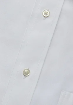 Traveler® Collection Traditional Fit Point Collar Solid Dress Shirt